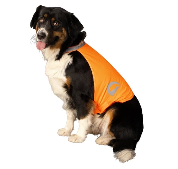 Nightwalk Dog Safety Vest Oransje Liten
