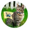 Miniatyrbilde 1 av 3: Pawise Cat krage med Bowknot rød