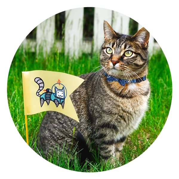 Pawise Cat kaulus Bowknot punainen