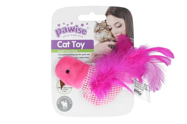 Pawise kattmynta fågel