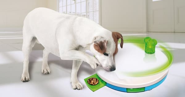 Pawise hundträningsleksak