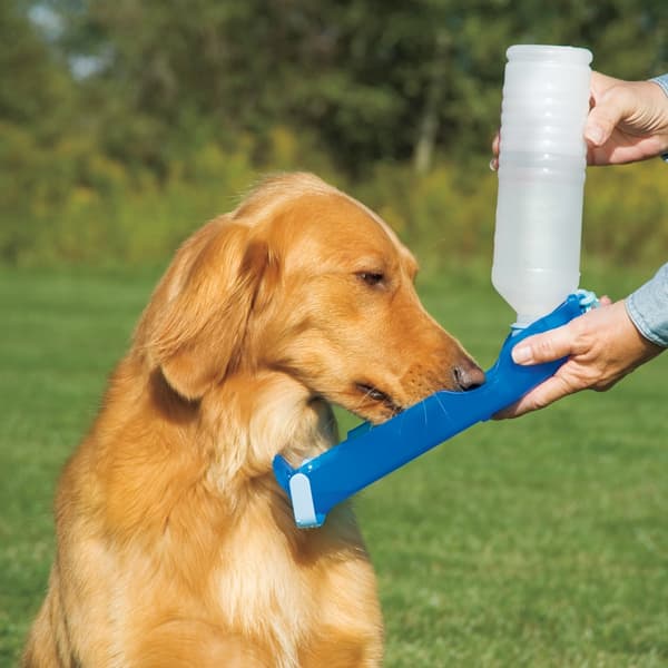 Pawise Handy Waterer 500 ml