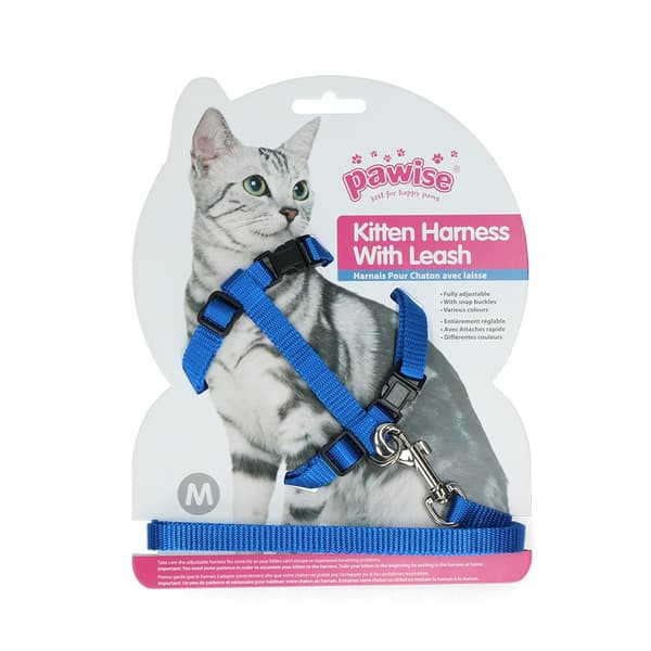 Pawise Kitten Valjaat -punainen/sininen