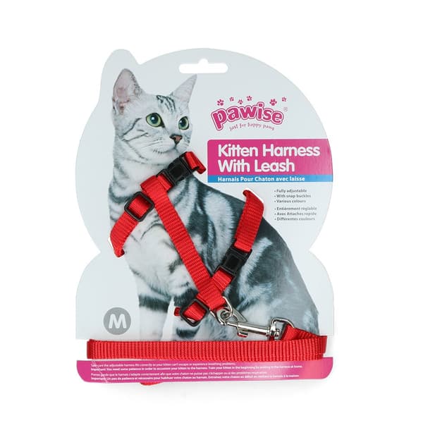 Pawise Kitten Valjaat -punainen/sininen