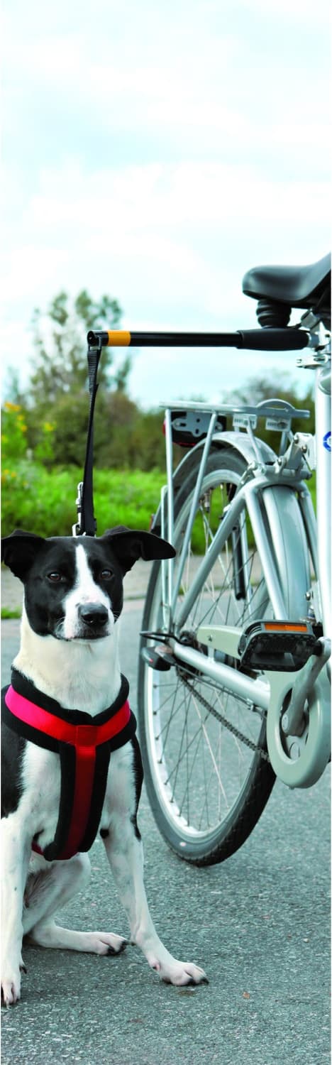 Pawise Håndfri Doggy Bike Exerciser Leash