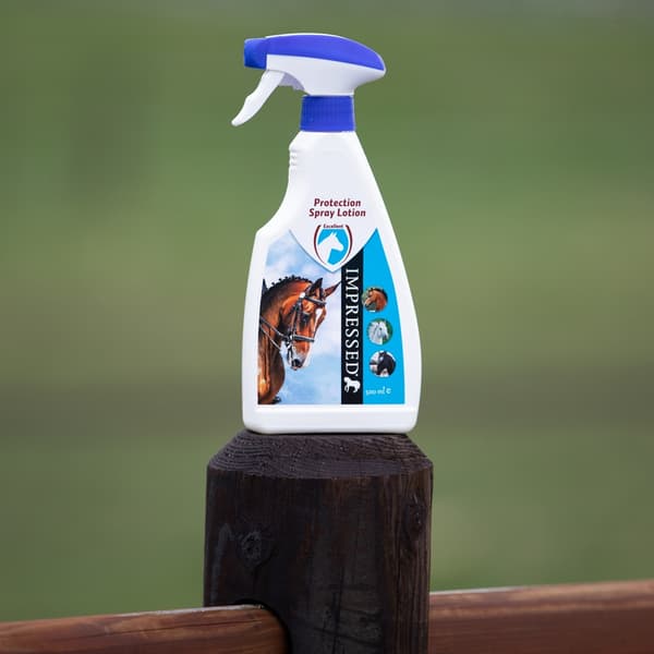 Beskyttelse Spray Lotion