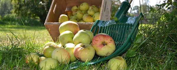 Barbergaffel plast svart uten håndtak