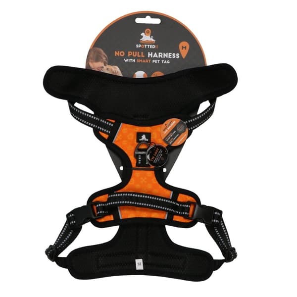 Oppdaget! PRO-sele Orange M