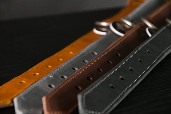 Oppdaget! Pro Leather Collar Black 2,5x40cm