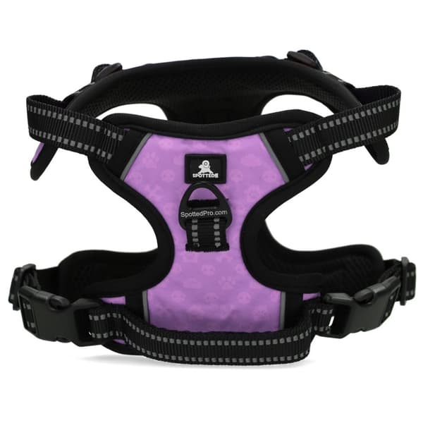 Oppdaget! PRO-sele Purple S