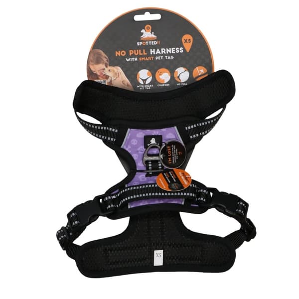 Oppdaget! PRO-sele Purple XS
