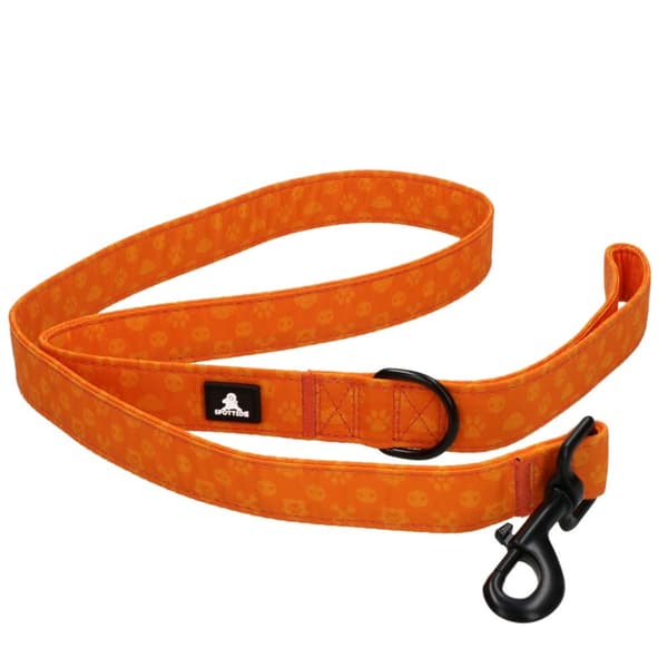 Oppdaget! PRO Leash Mørkegrå 120cm