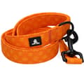 Miniatyrbilde 5 av 6: Oppdaget! PRO Leash Mørkegrå 120cm