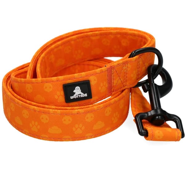 Oppdaget! PRO Leash Mørkegrå 120cm