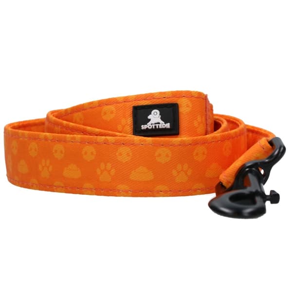 Oppdaget! PRO Leash Mørkegrå 120cm