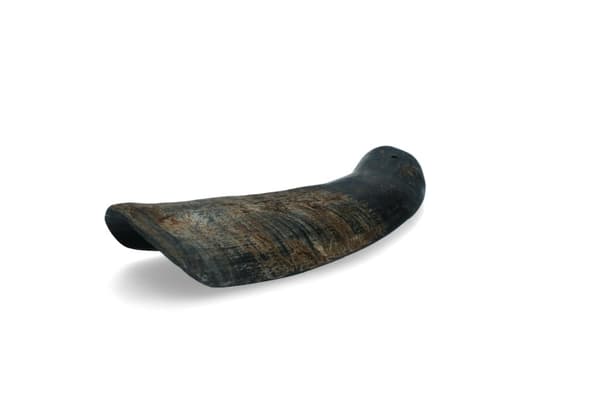 Viking half Horn L