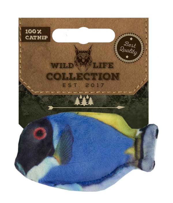 Wild Life Cat Blue Tang