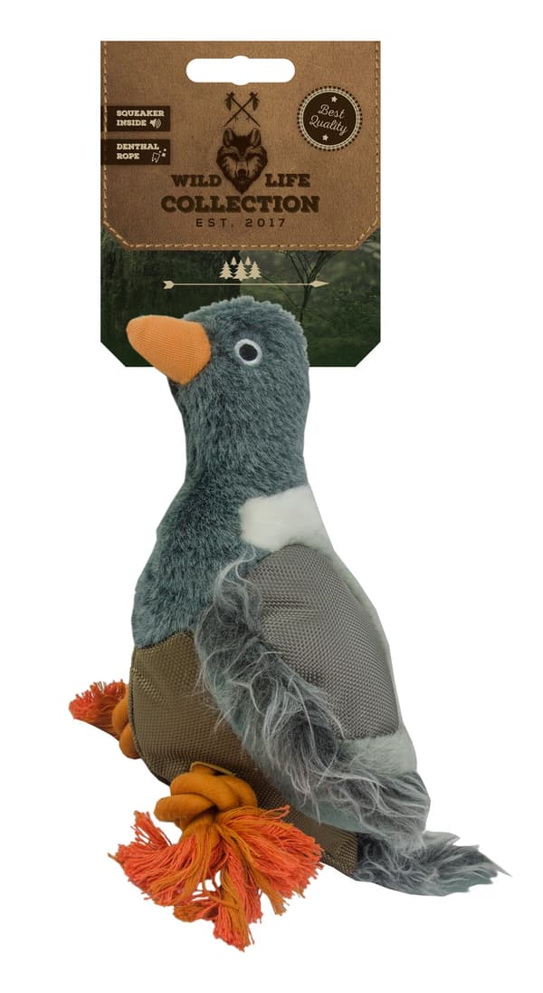 Wild Life Dog Pigeon