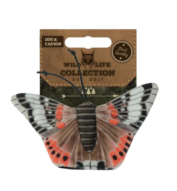 Wild Life Cat Röd Amiral Butterfly