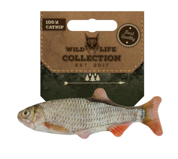 Wild Life Cat Roach