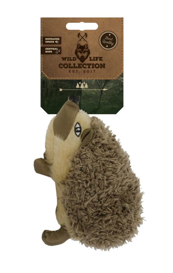 Wild Life Dog Hedgehog