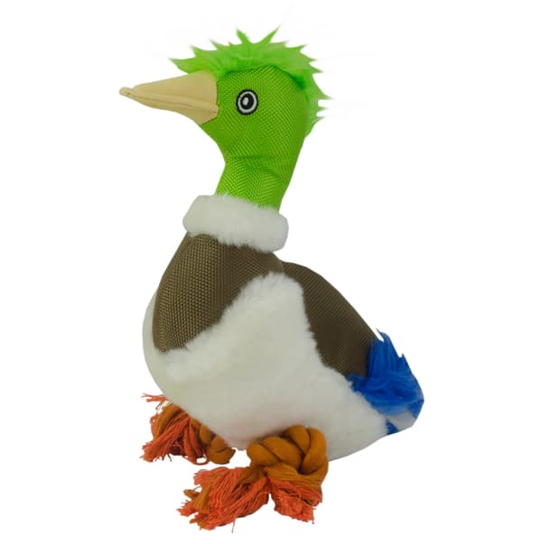 Wild Life Dog Duck