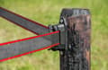 Miniatyrbillede 6 af 6: ZoneGuard 40 mm Plus hegnstape brun 200 m