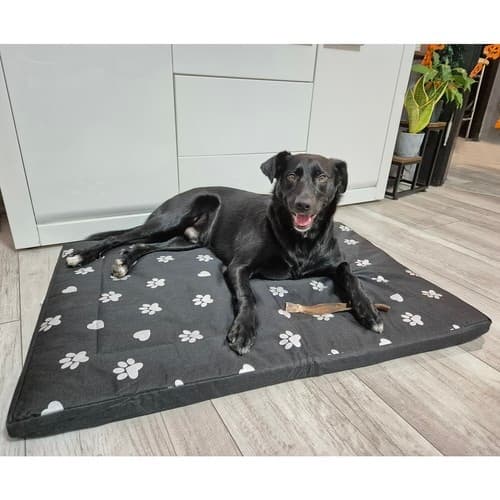 Hundeseng 100x70cm Purlov 24862