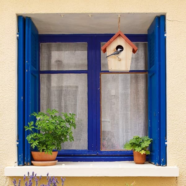 Deco Birdhouse oransje tak