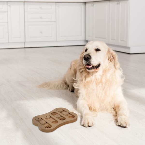 Intelligent legetøj til hunde