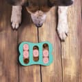 Miniatyrbillede 2 af 7: Intelligent legetøj til hunde