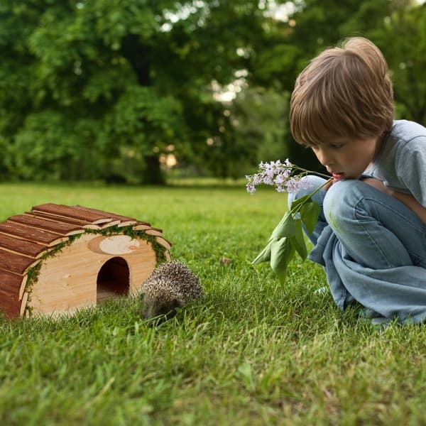 Pindsvinehus med gulv