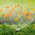 Miniatyrbilde 5 av 6: Spray sprinkler hagesett med 5 stk