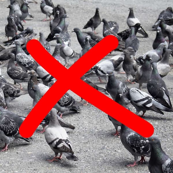 Pigeon Scare Crow sett med 2 stk