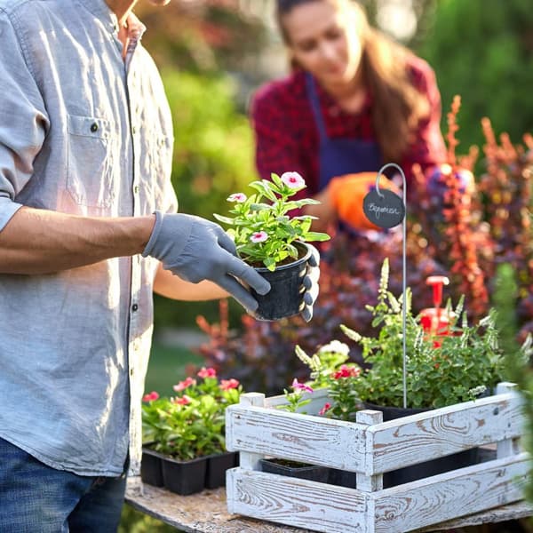 12 ovale planteskilt laget av skifer