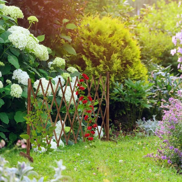 Uttrekkbar treespalier