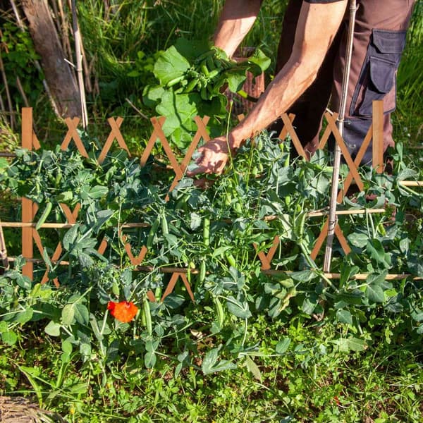Uttrekkbar treespalier