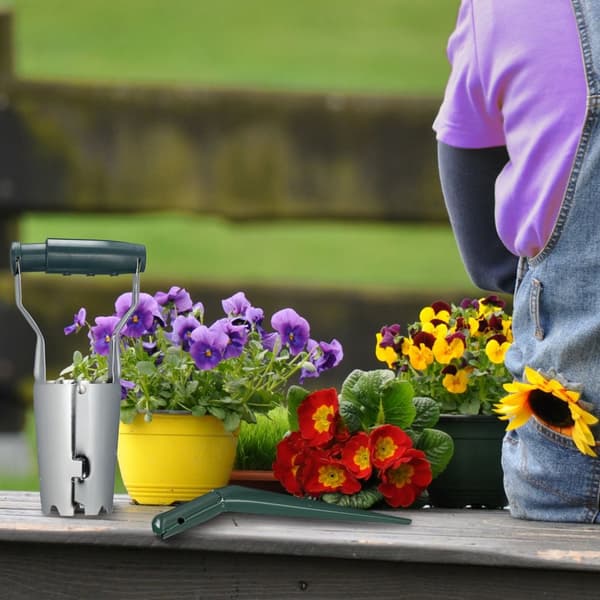 Plantesett for blomsterløk