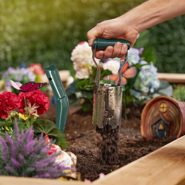 Plantesett for blomsterløk