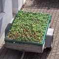 Miniatyrbild 2 av 7: Grönt släpvagnsnät 2,3 x 3,5 m