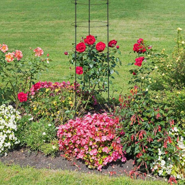 Trellis 150 cm sett med 3 stk
