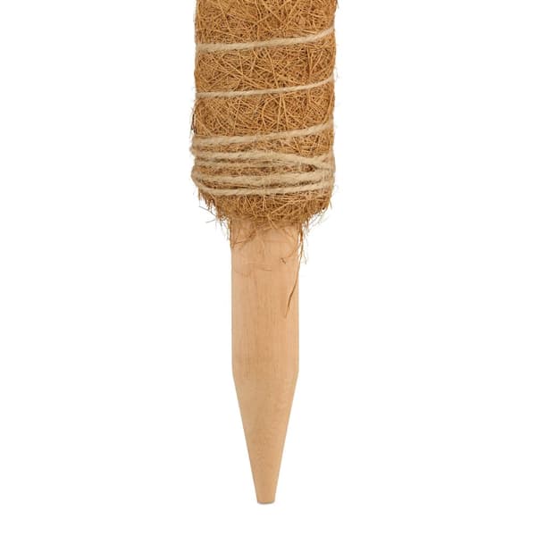 Kokosbarer 4-pakning 40 cm med tilbehør