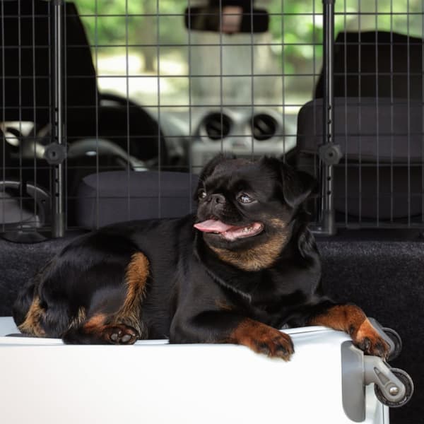 Hundebeskyttelsesvogn Universal Large