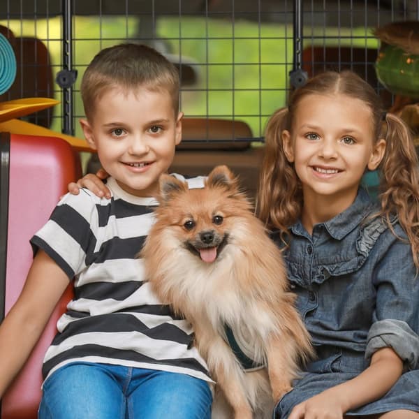 Hundebeskyttelsesvogn Universal Large