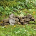 Miniatyrbilde 5 av 8: Gravdekorasjon for katt