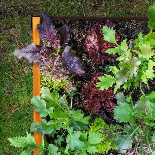 Plantebord i tre
