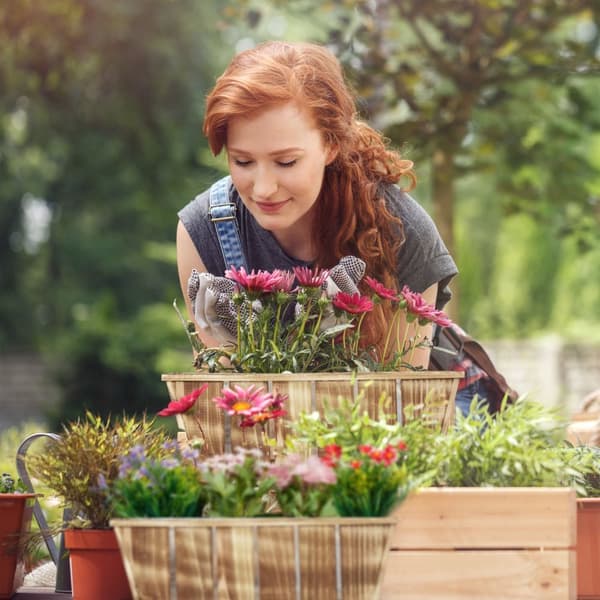 Blomsterkasse Tresett med 3