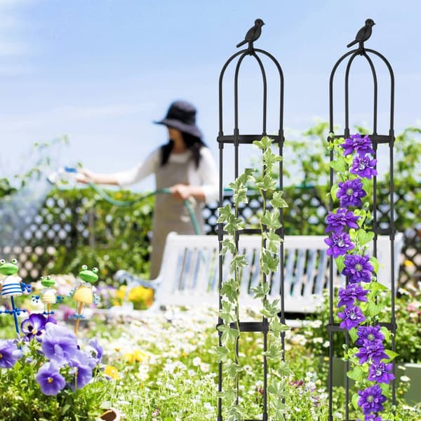 Trellis 188 cm sæt af 2
