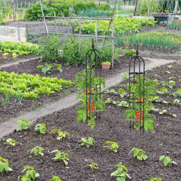 Trellis 100 cm, sett med 2 stk