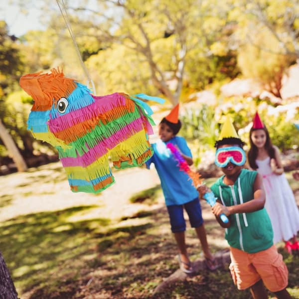 Pinata åsna
